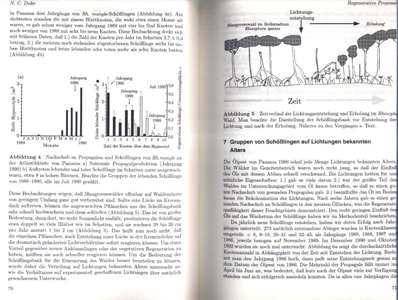 Mangroven - Lebensr�ume zwischen Land und Meer - aus dem Buch